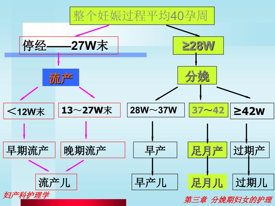 第3章--分娩期妇女的护理_第4页