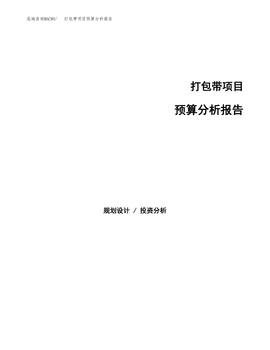 打包带项目预算分析报告_第1页