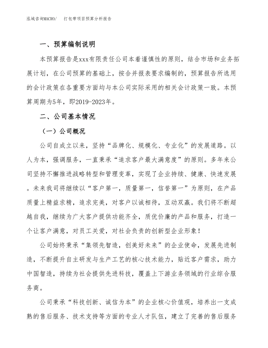 打包带项目预算分析报告_第2页