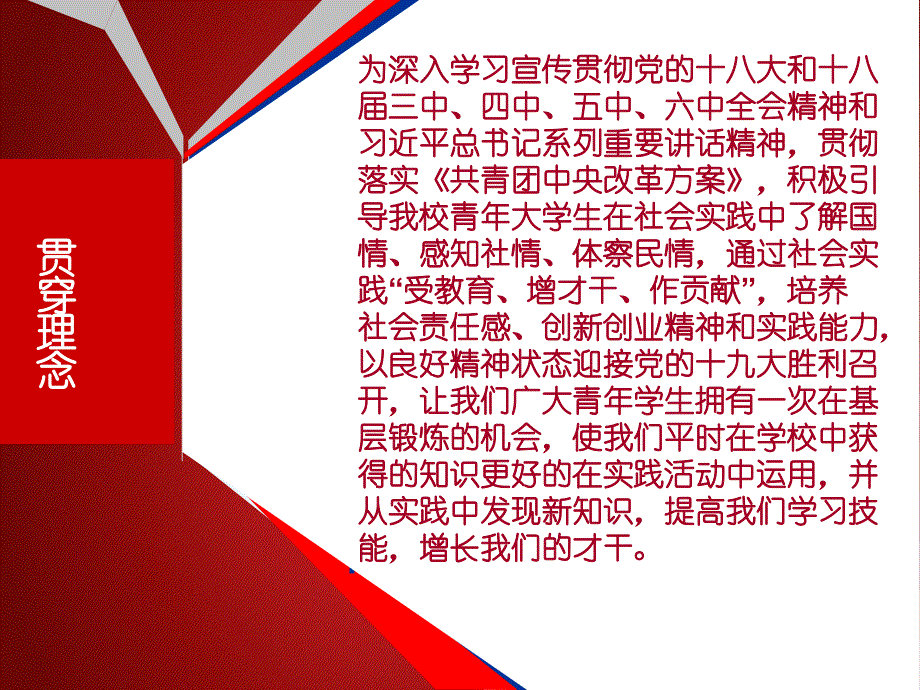 暑期社会实践活动项目立项答辩ppt_第3页