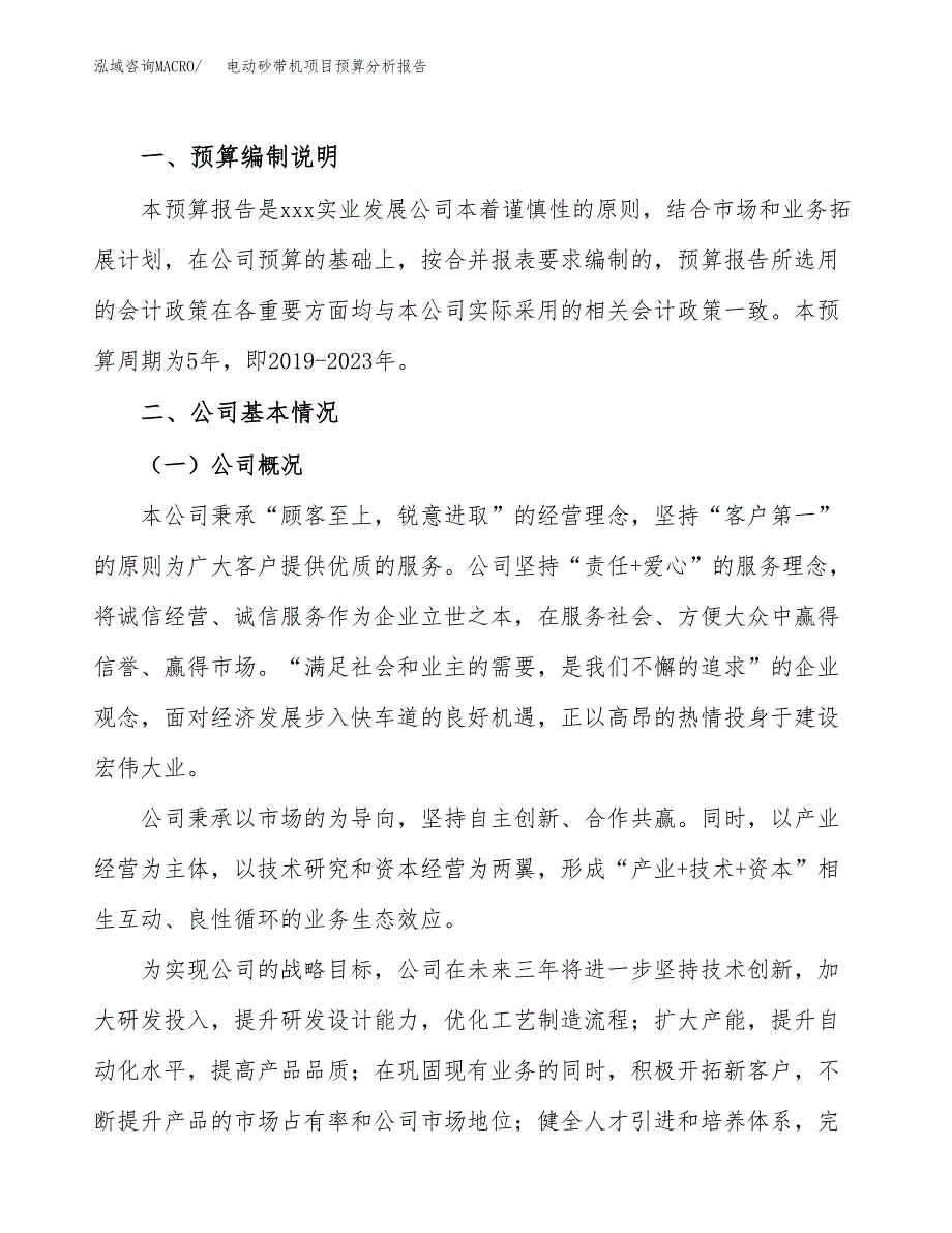 电动砂带机项目预算分析报告_第2页