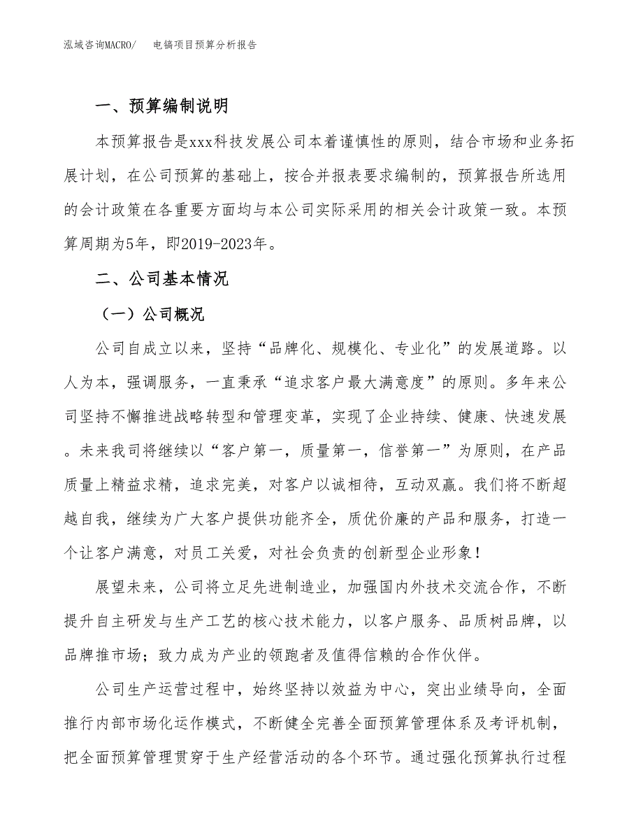 电镐项目预算分析报告_第2页