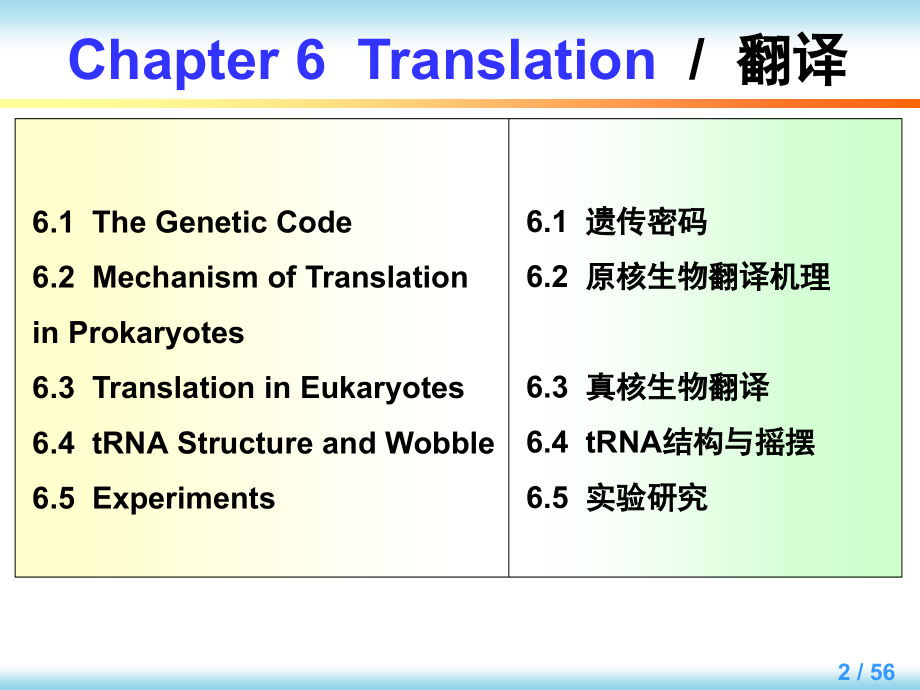 英汉对照分子生物学导论 教学课件 ppt 作者 [美]西尔维恩 W.勒潘 王勇 编著Chapter 6_第2页