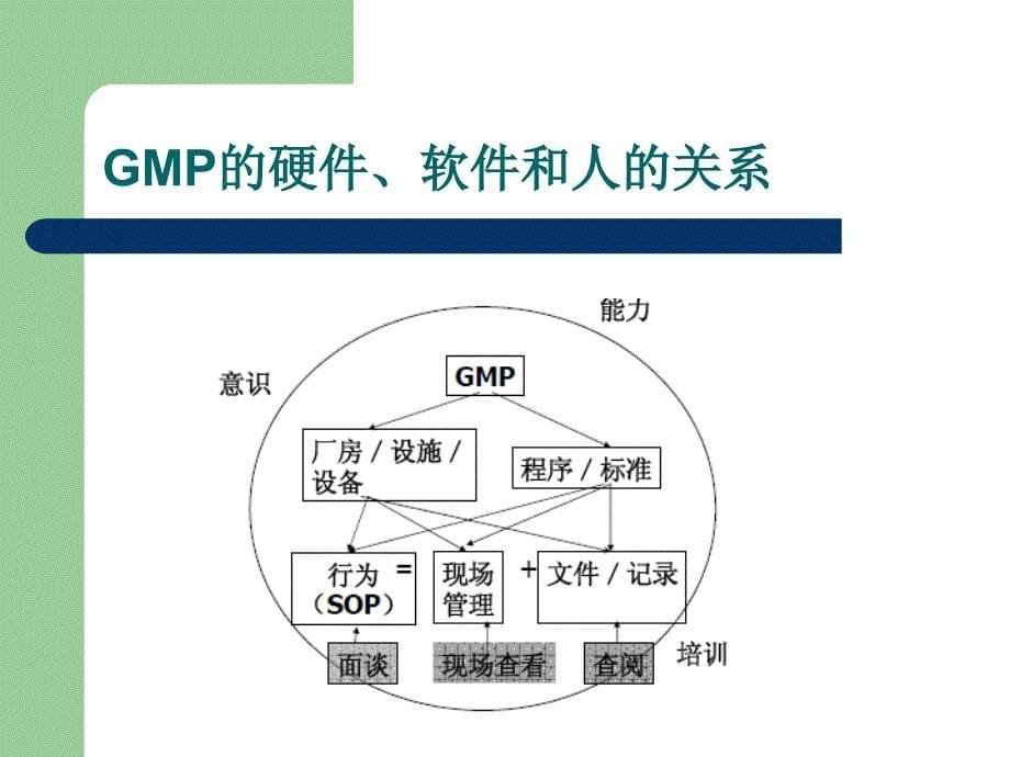 药企现场质量管理与生产过程控制课件_第5页