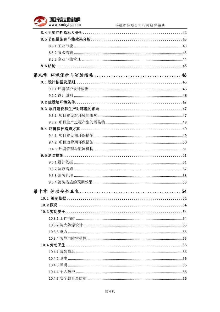 手机电池项目可行性研究报告（备案实用案例）(1)_第5页