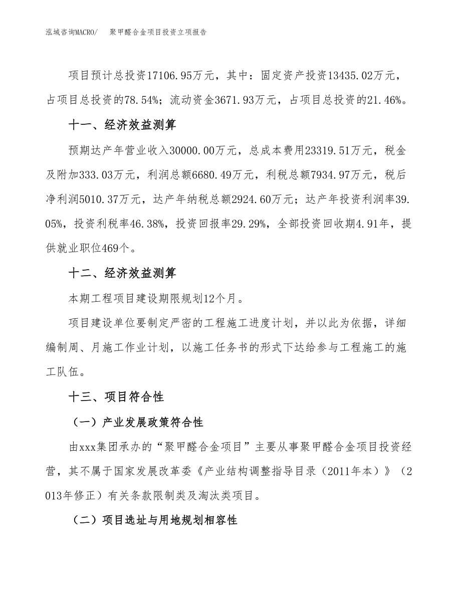 聚甲醛合金项目投资立项报告.docx_第5页