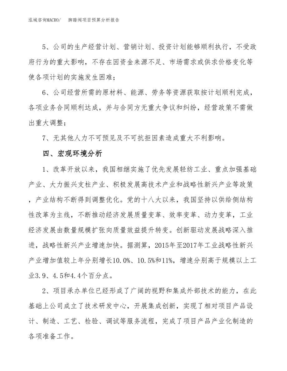 脚踏阀项目预算分析报告_第5页