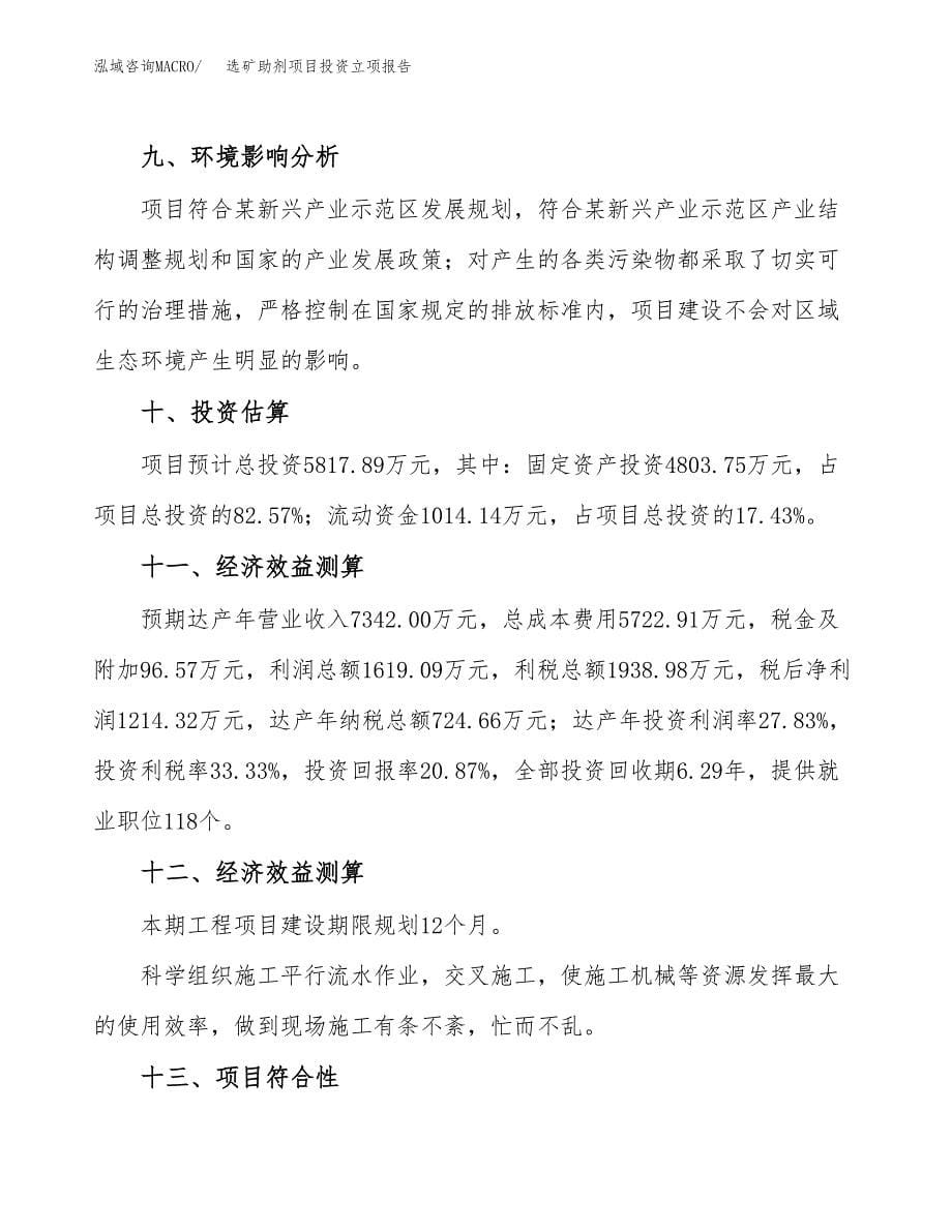 选矿助剂项目投资立项报告.docx_第5页