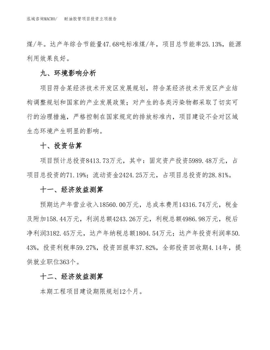 耐油胶管项目投资立项报告.docx_第5页