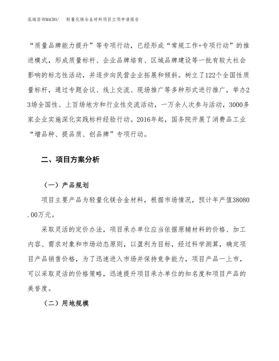 轻量化镁合金材料项目立项申请报告.docx_第5页