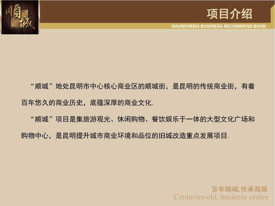 昆明某商业广场合作推介_第3页