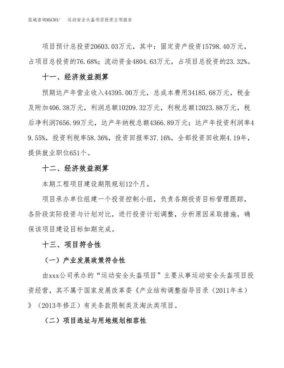 运动安全头盔项目投资立项报告.docx_第5页