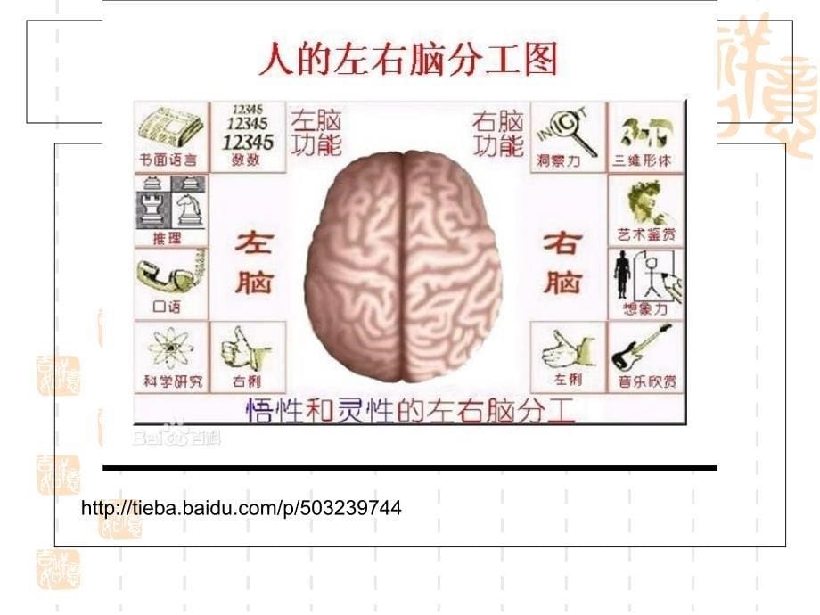 5.语言和大脑language_and_brain_第5页