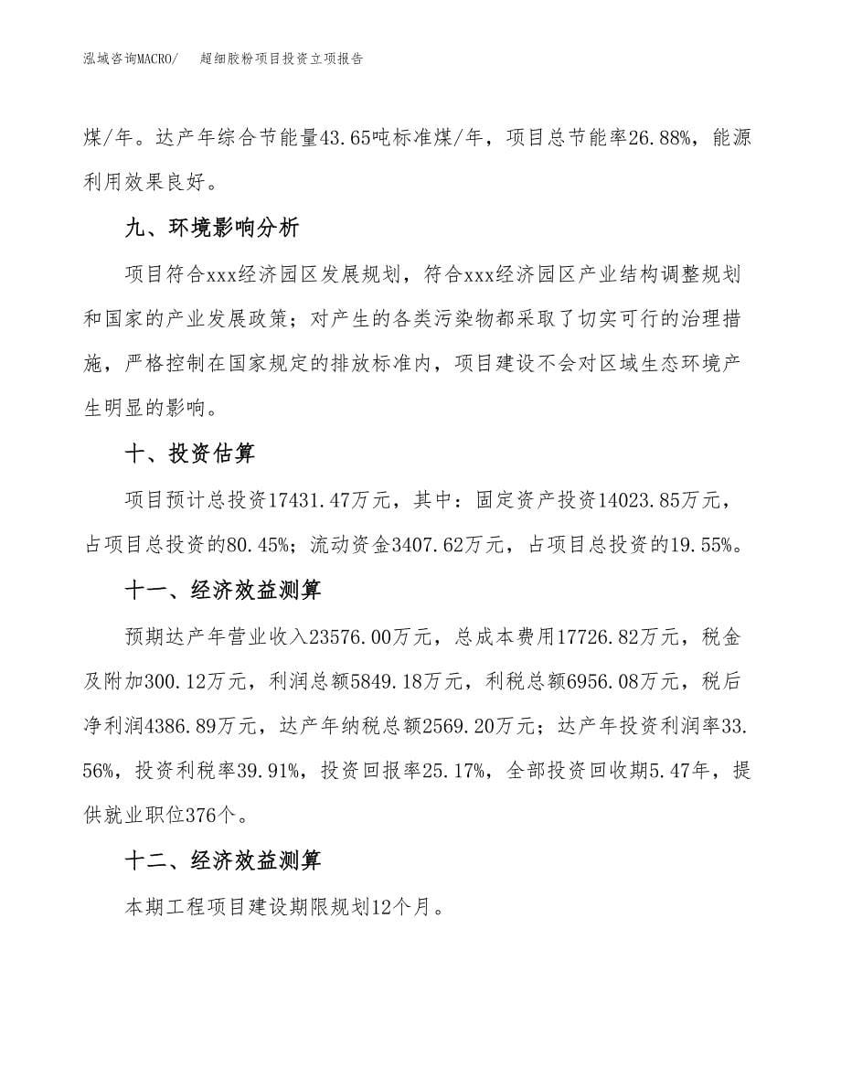 超细胶粉项目投资立项报告.docx_第5页