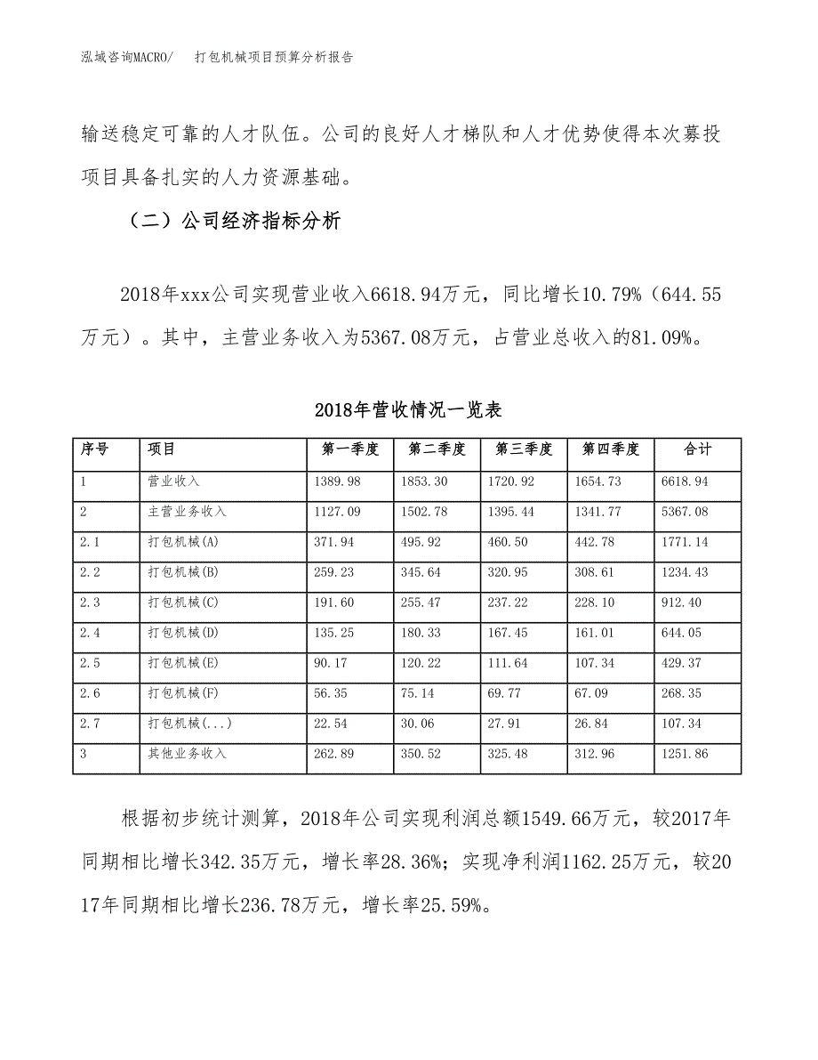 打包机械项目预算分析报告_第3页