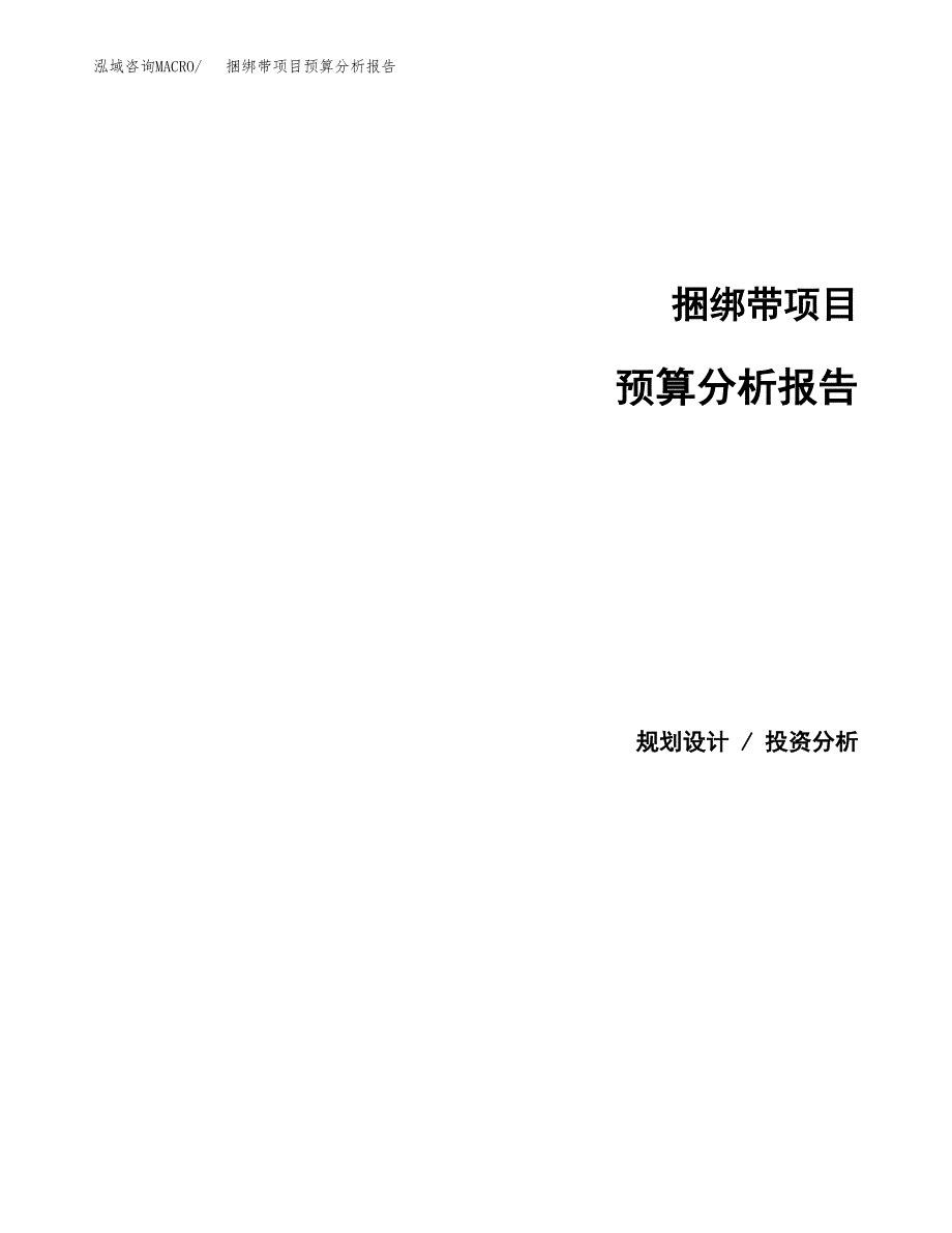 捆绑带项目预算分析报告_第1页