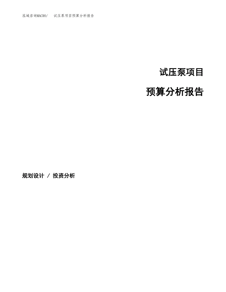 试压泵项目预算分析报告_第1页