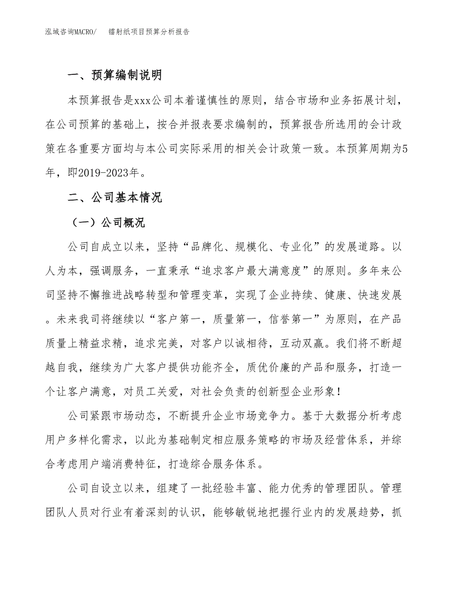 镭射纸项目预算分析报告_第2页