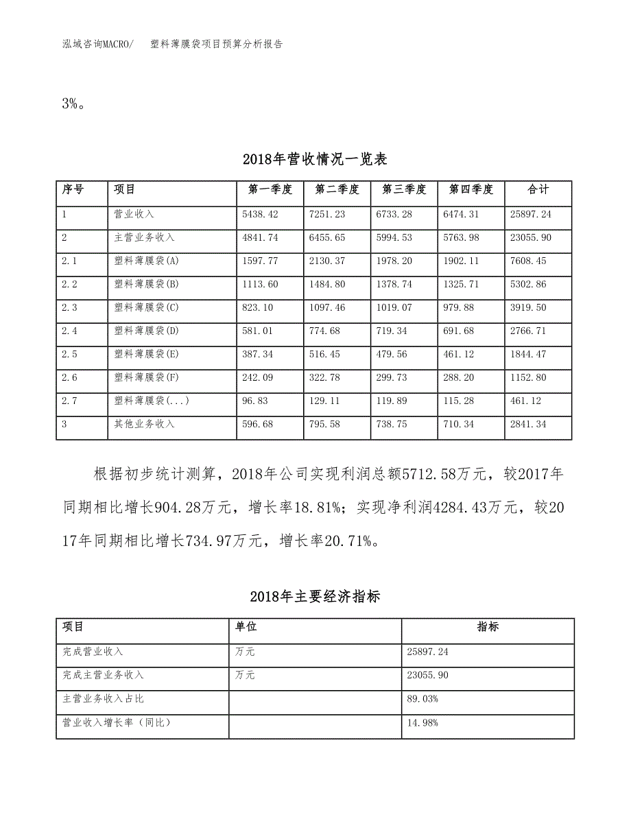 塑料薄膜袋项目预算分析报告_第4页