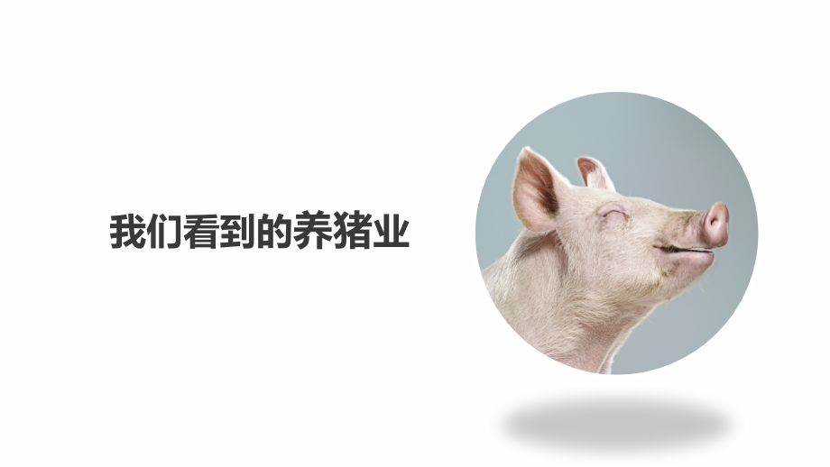 高效养猪的平台化探索-薛素文_第3页