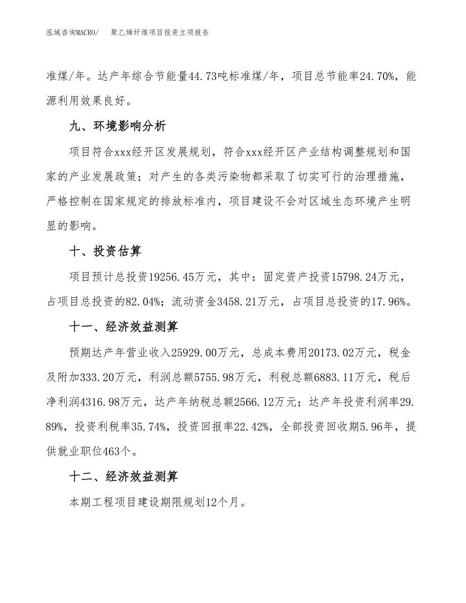 聚乙烯纤维项目投资立项报告.docx_第5页