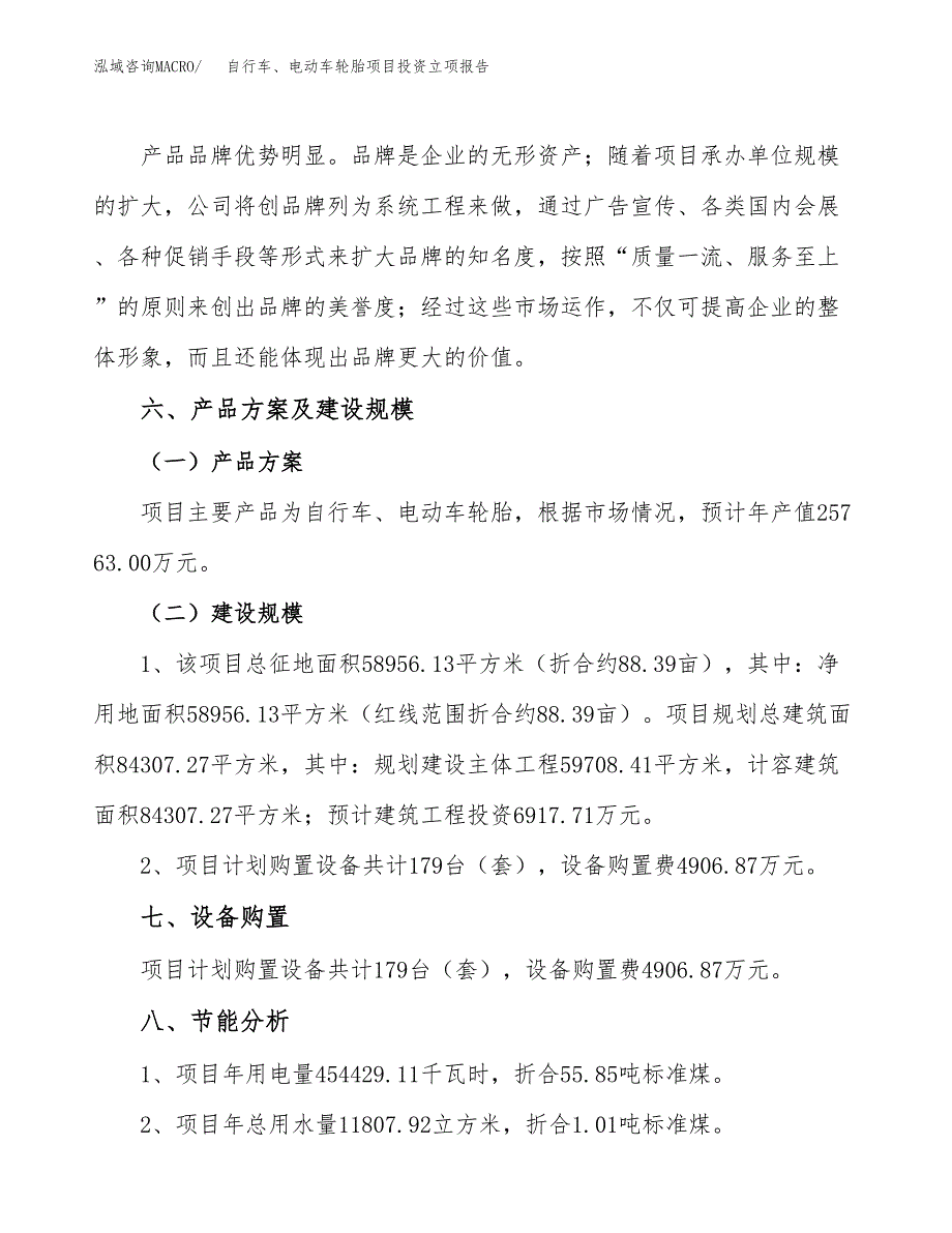 自行车、电动车轮胎项目投资立项报告.docx_第3页