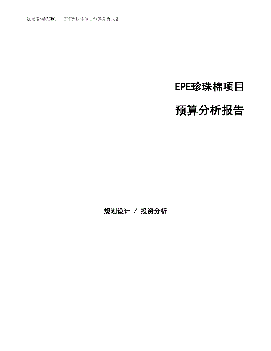 EPE珍珠棉项目预算分析报告_第1页