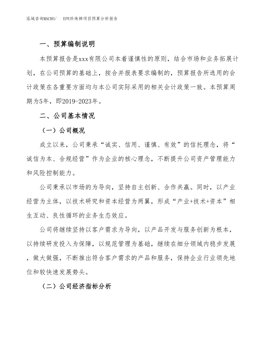 EPE珍珠棉项目预算分析报告_第2页