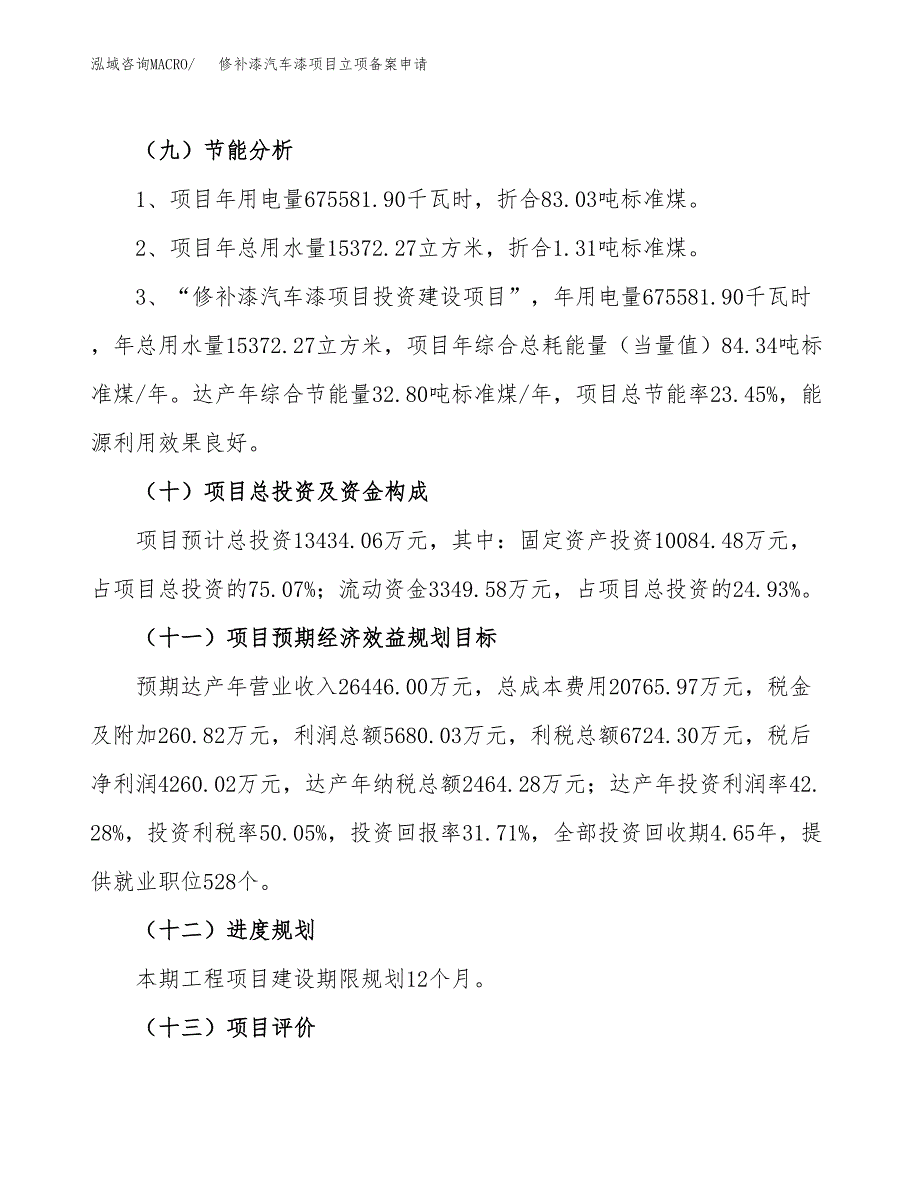 修补漆汽车漆项目立项备案申请.docx_第3页