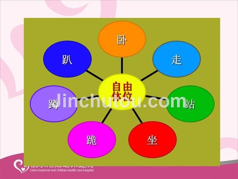 自由体位在产程中的应用课件_第5页