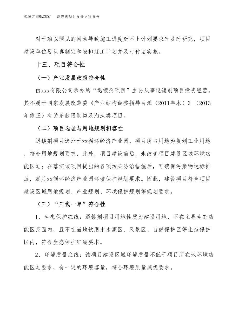 退镀剂项目投资立项报告.docx_第5页