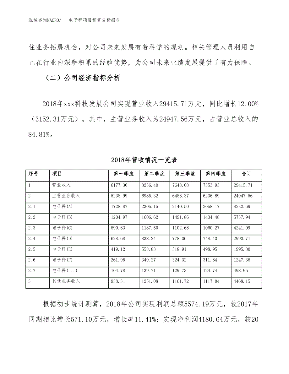 电子秤项目预算分析报告_第3页