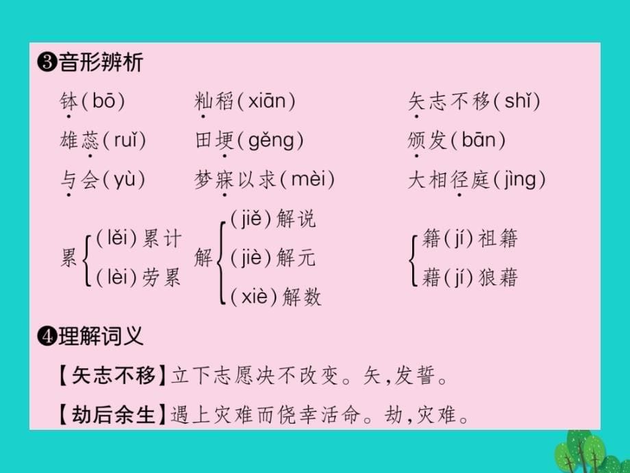 八年级语文上册_第二单元 8《杂交水稻之父——袁隆平》课件 （新版）语文版1_第5页