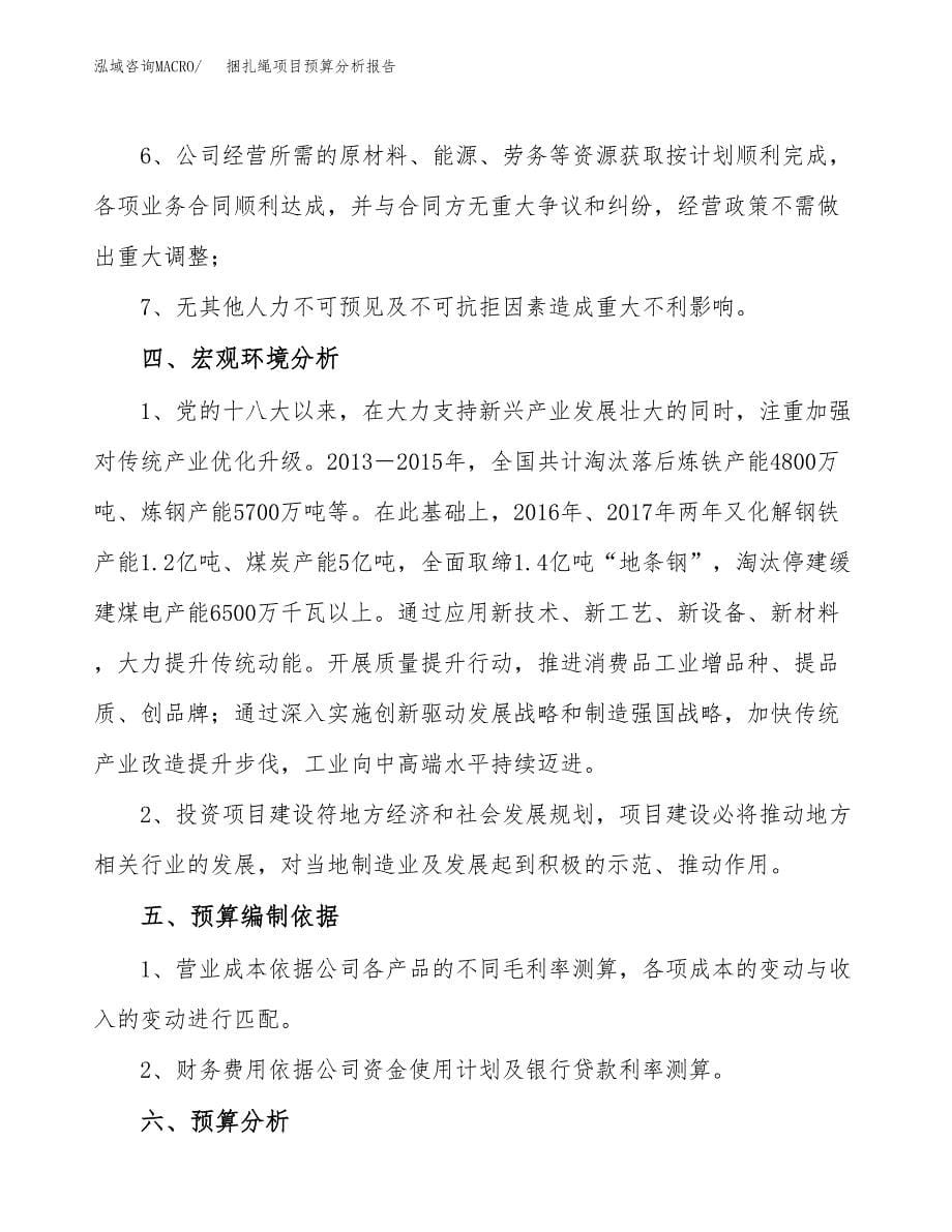 捆扎绳项目预算分析报告_第5页