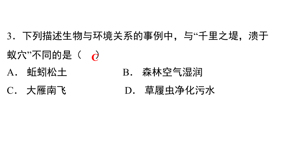 13.2019年广东省中考仿真模拟卷(一)_第4页