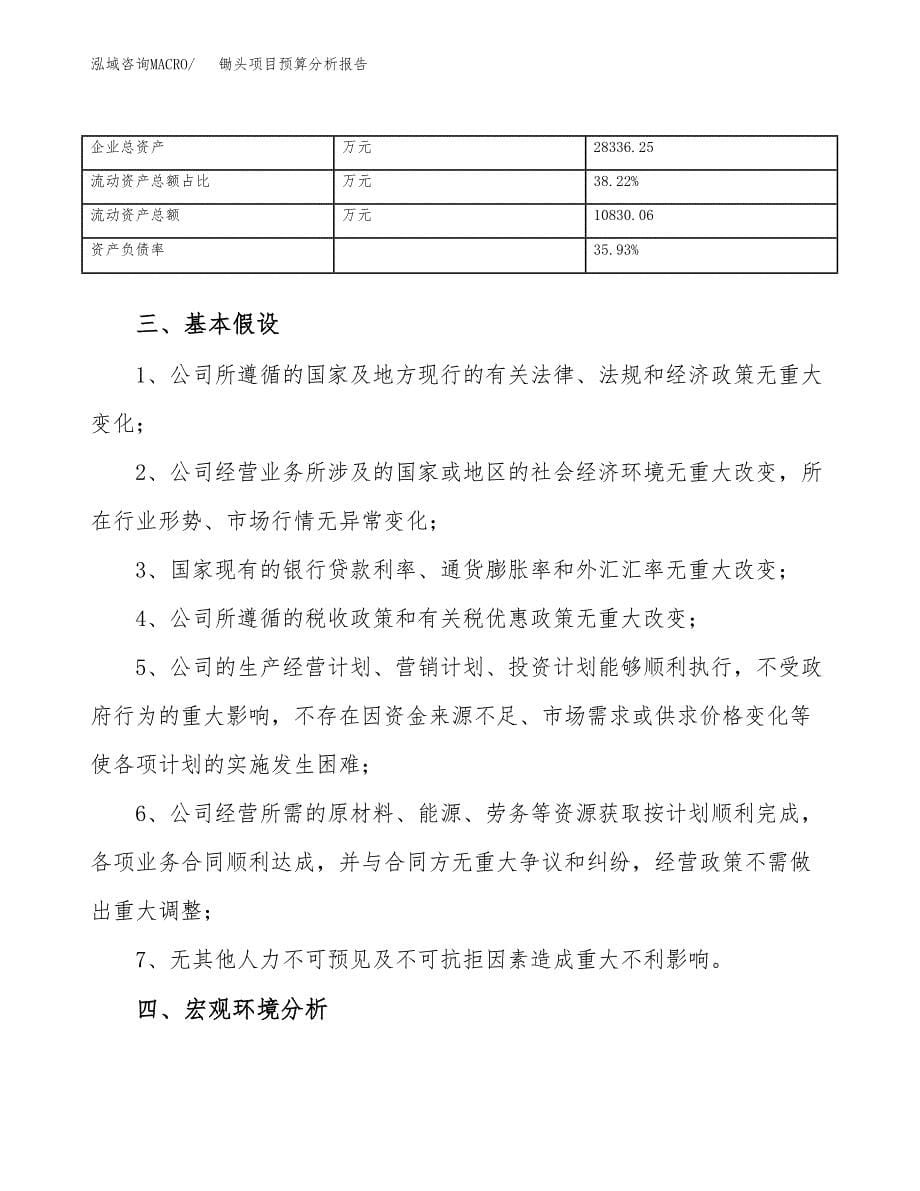 锄头项目预算分析报告_第5页