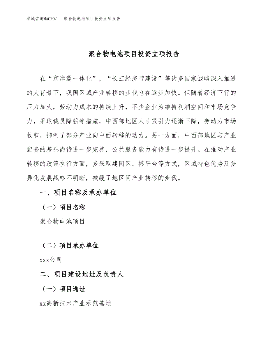 聚合物电池项目投资立项报告.docx_第1页