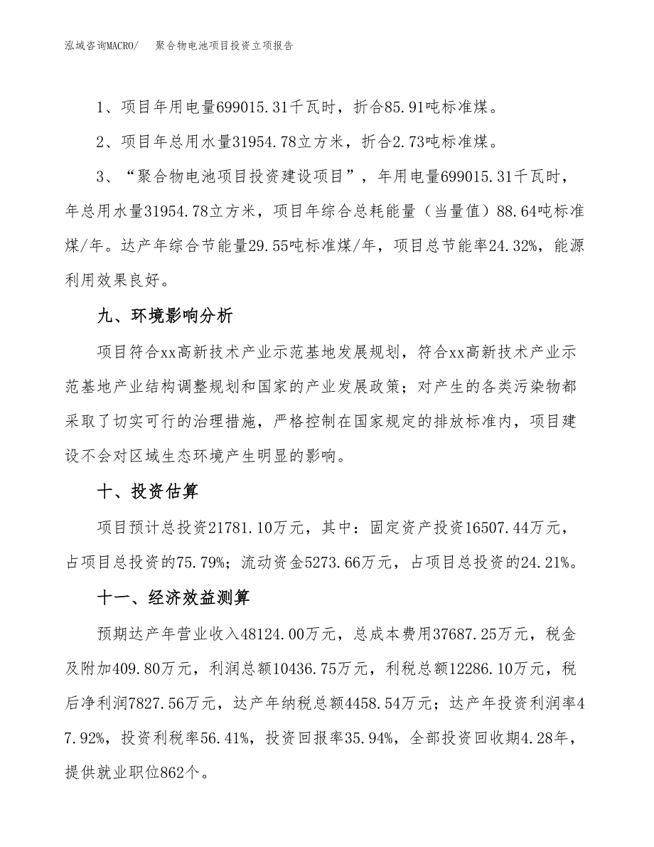 聚合物电池项目投资立项报告.docx_第4页