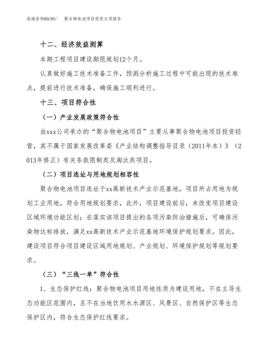 聚合物电池项目投资立项报告.docx_第5页