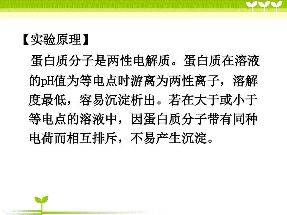 实验一.蛋白质的两性电离及等电点测定课件_第5页