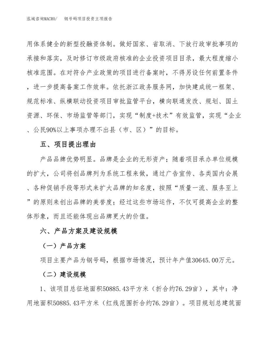 钢号码项目投资立项报告.docx_第3页