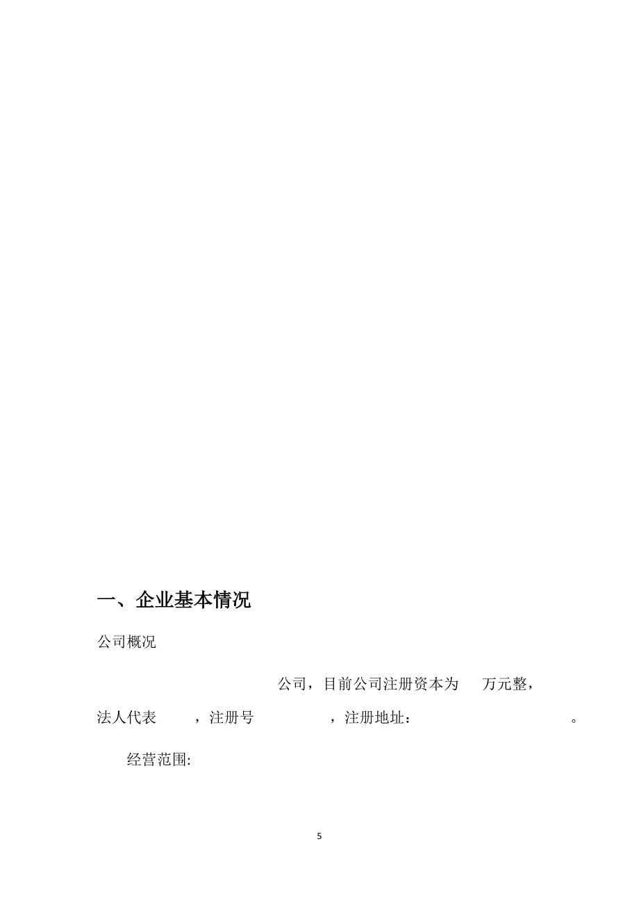 公司商 业计 划书资料_第5页