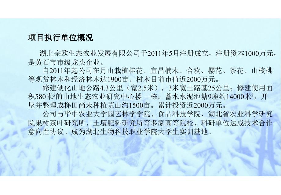 阳新月山生态民宿村项目总体规划意向书(项目申请稿)课件_第4页