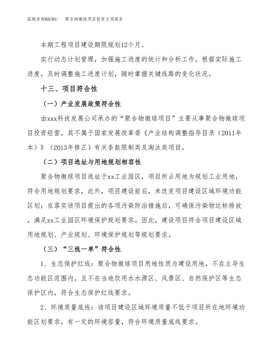 聚合物微球项目投资立项报告.docx_第5页