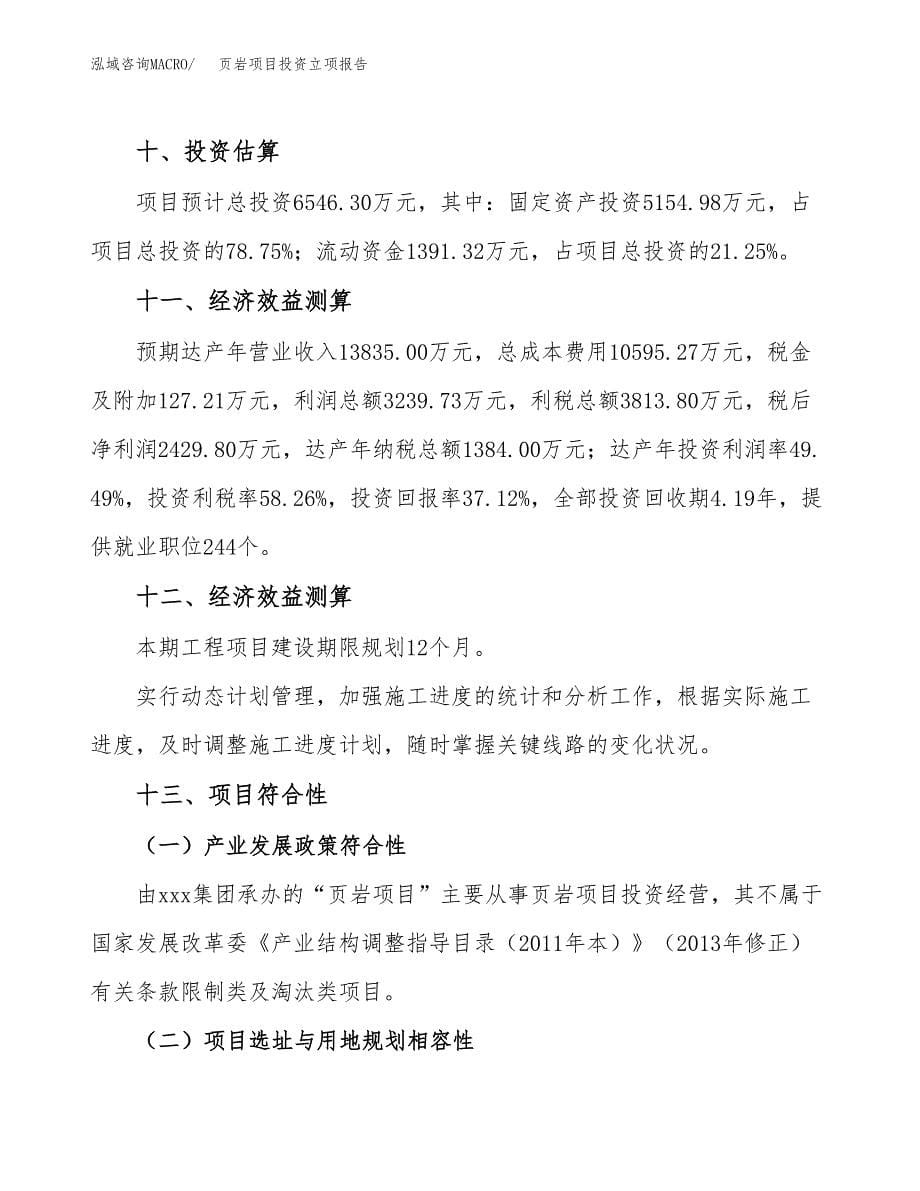 页岩项目投资立项报告.docx_第5页