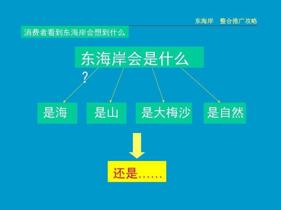 万科地产整合推广攻略_第5页