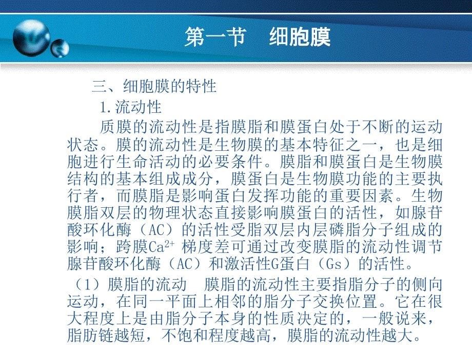 细胞生物学基础 教学课件 ppt 作者 员冬梅 主编 李晓文 主审第三章_第5页