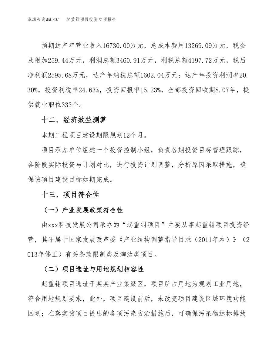 起重钳项目投资立项报告.docx_第5页