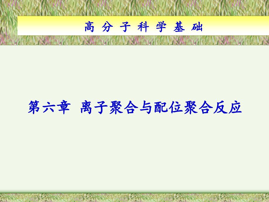 高分子科学基础 教学课件 ppt 作者 梁晖 卢江 主编第六章 离子聚合与配位聚合_第1页