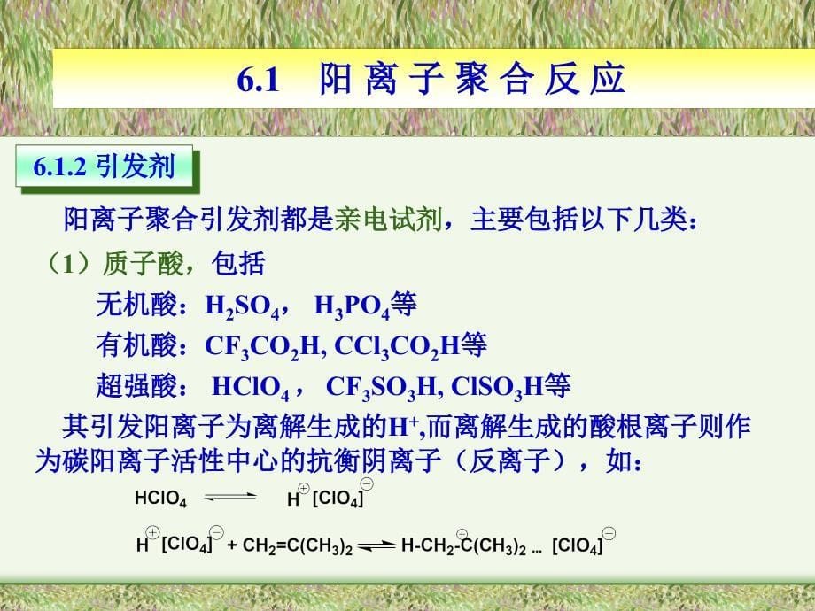 高分子科学基础 教学课件 ppt 作者 梁晖 卢江 主编第六章 离子聚合与配位聚合_第5页